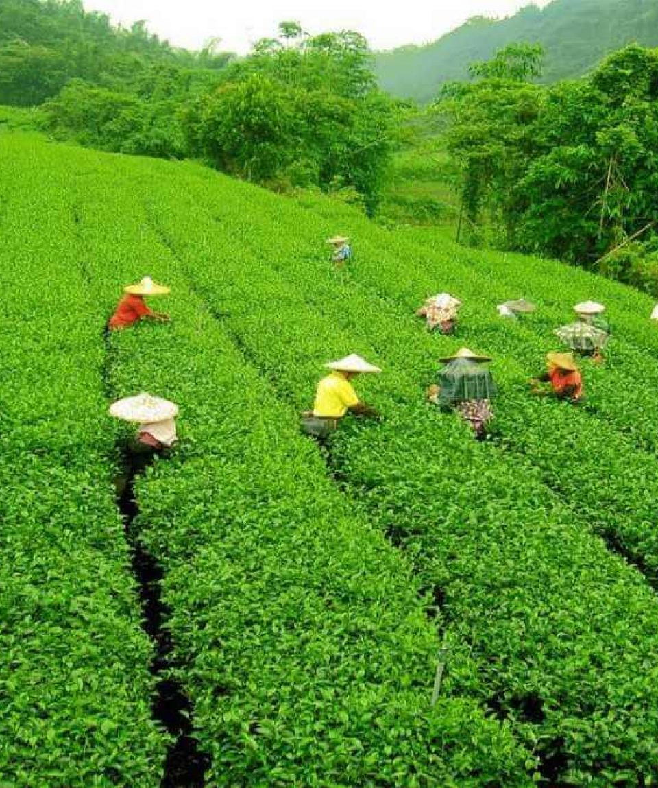 ASSAM