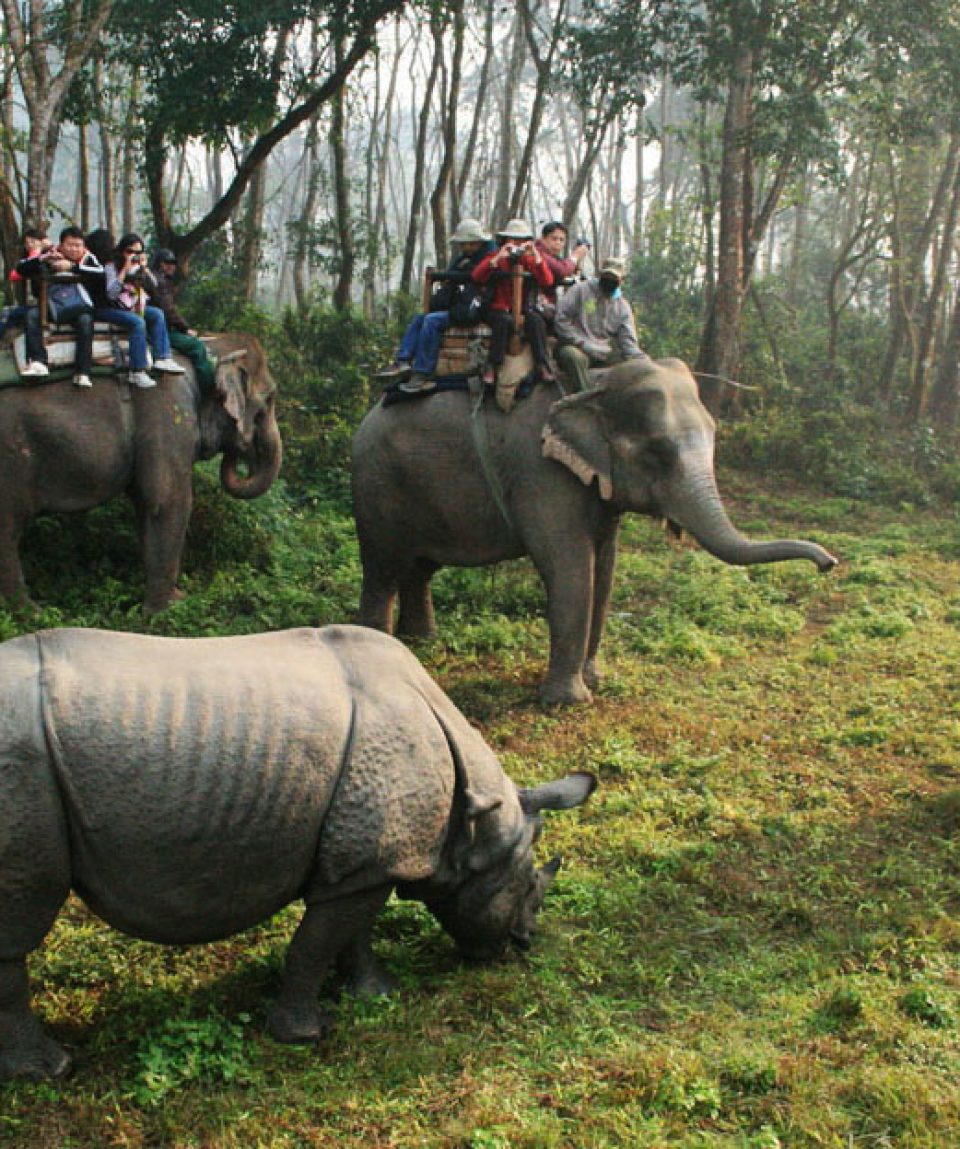 Chitwan-Jungle-Safari