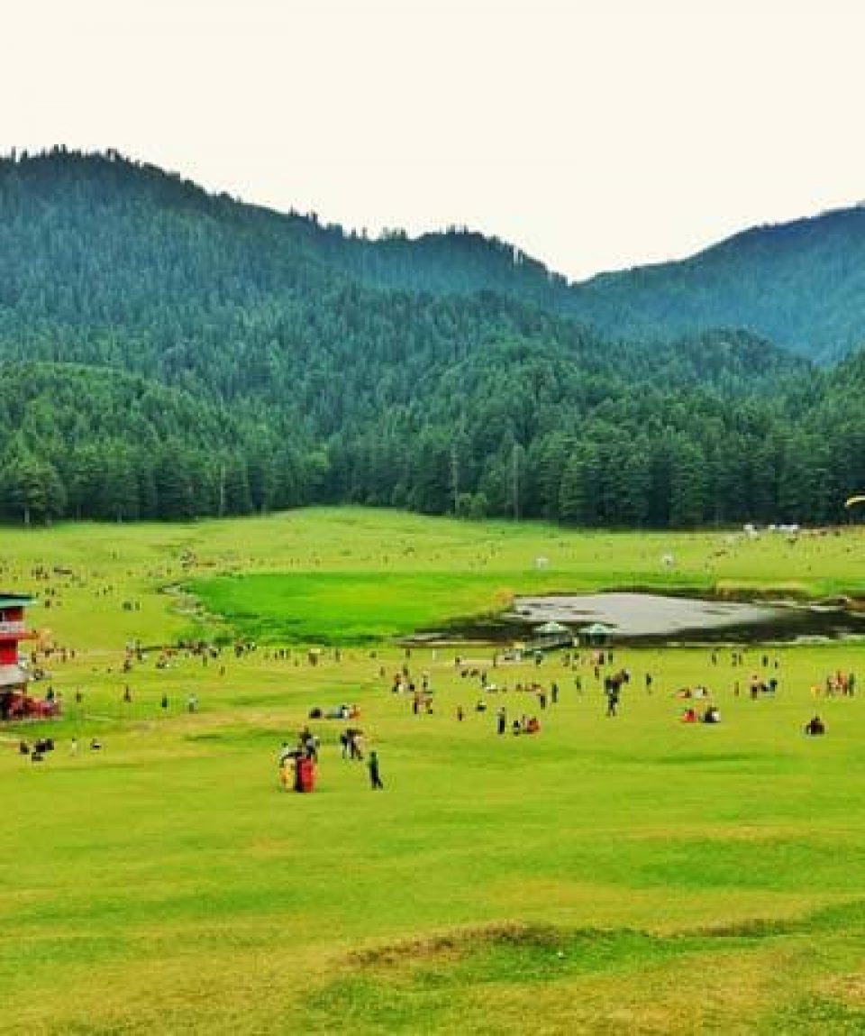 Dalhousie-1