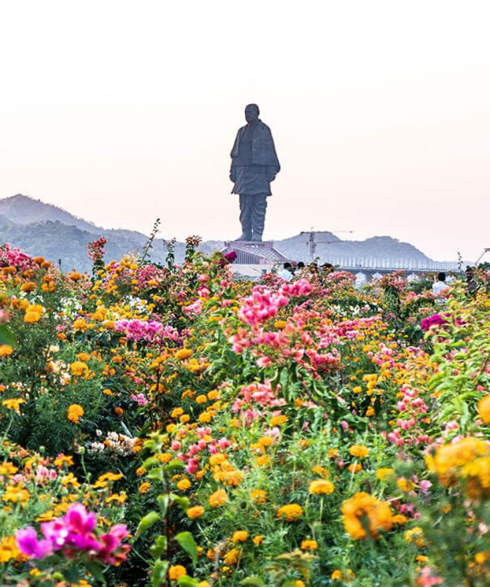 Valley-Of-Flowers-1