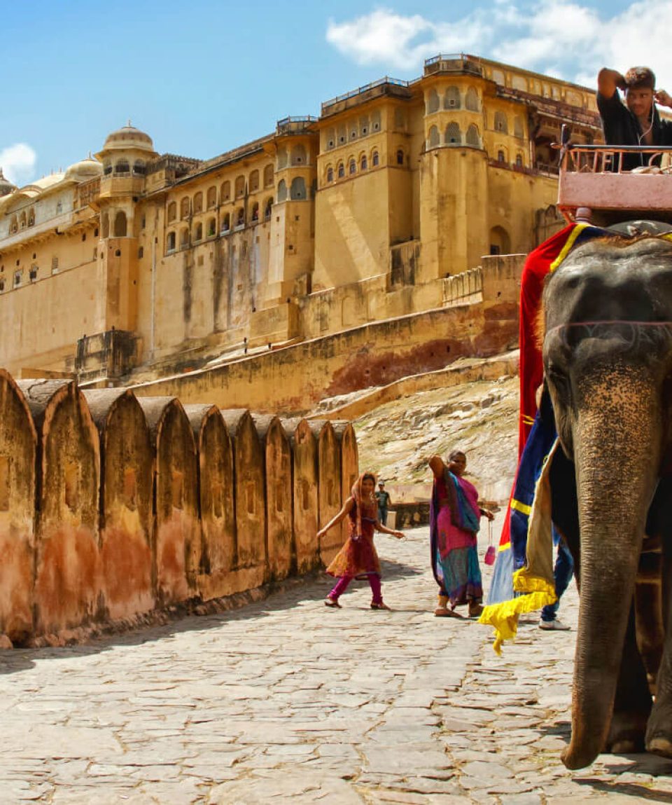 amber-fort-jaipur1